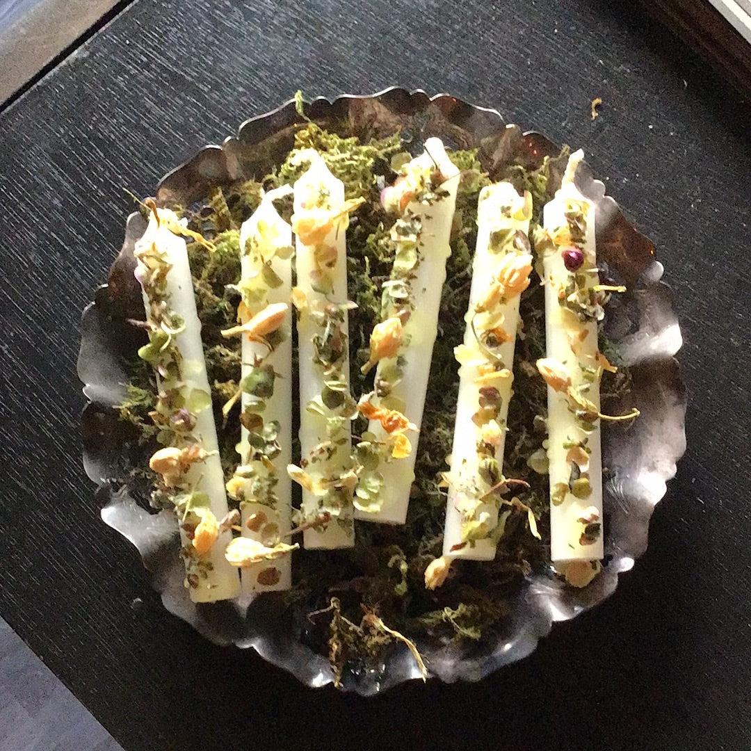 Seasonal fixed candle: Sprouting