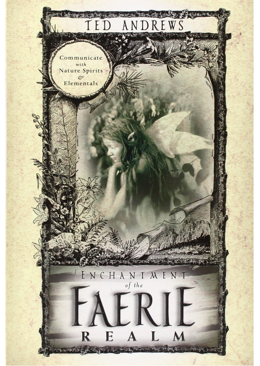 Enchantment of The Faerie Realm Andrews, Ted