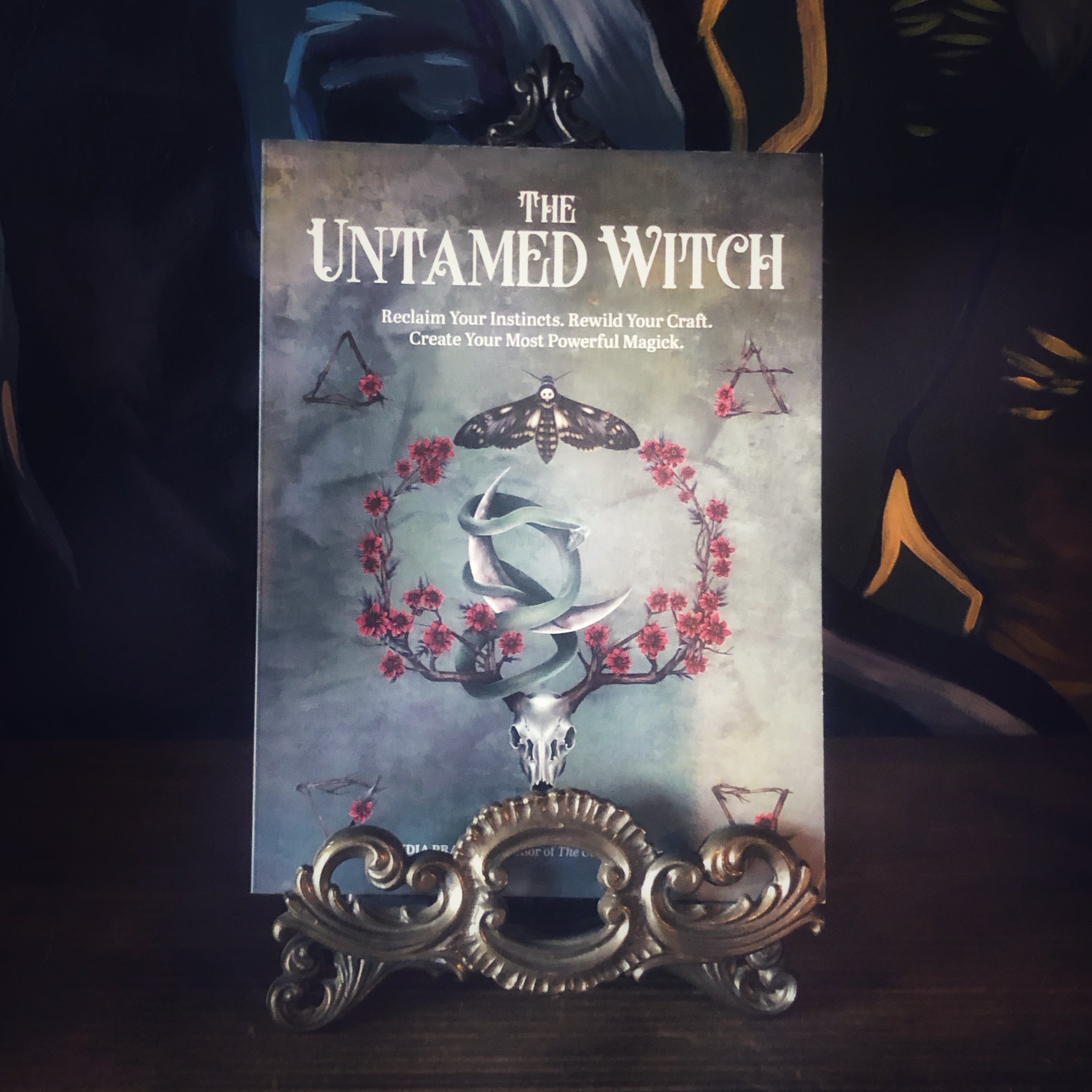 The Untamed Witch by Lidia Pradas
