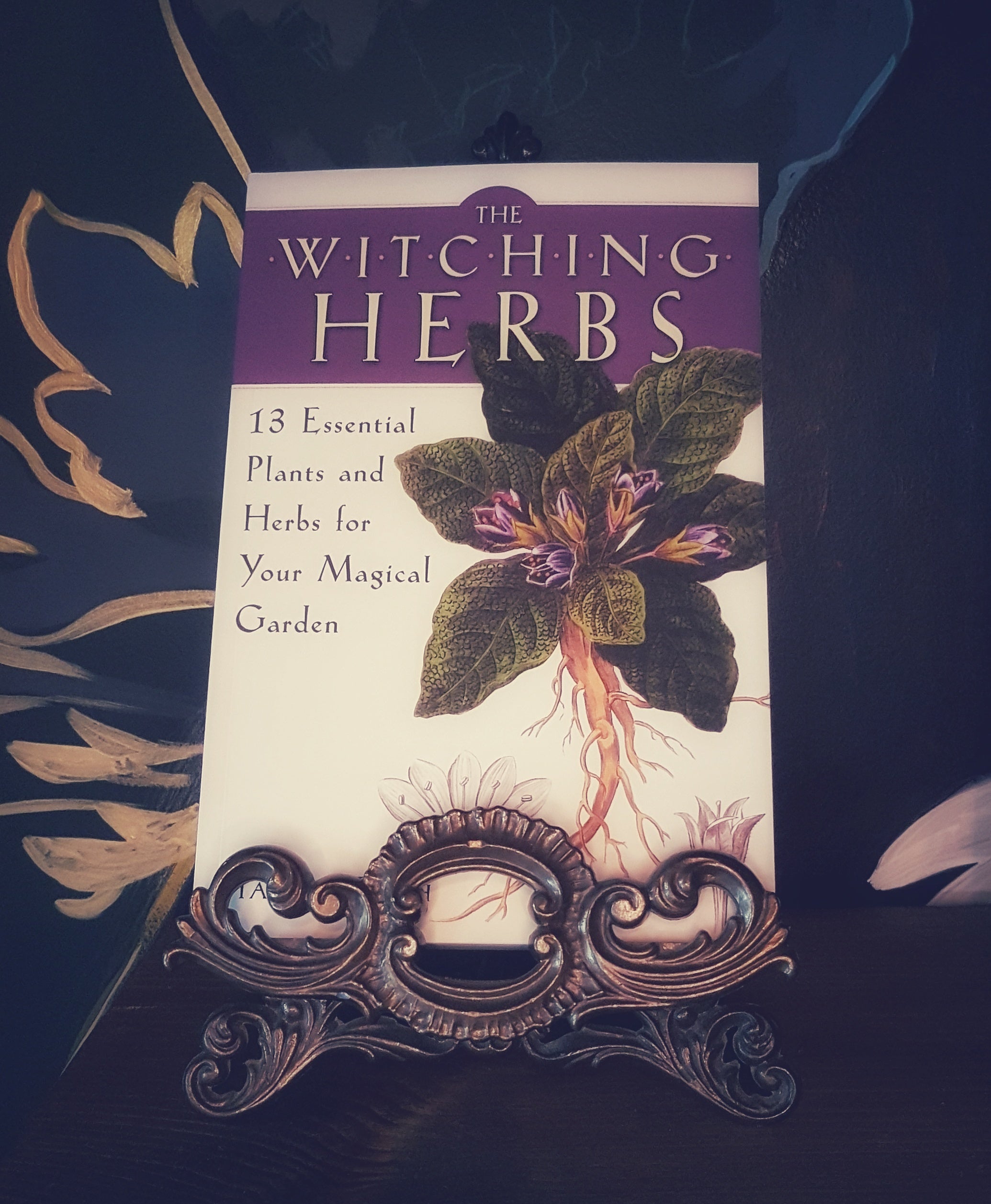 The Witching Herbs: 13 Essential Plants and Herbs for Your Magical Garden