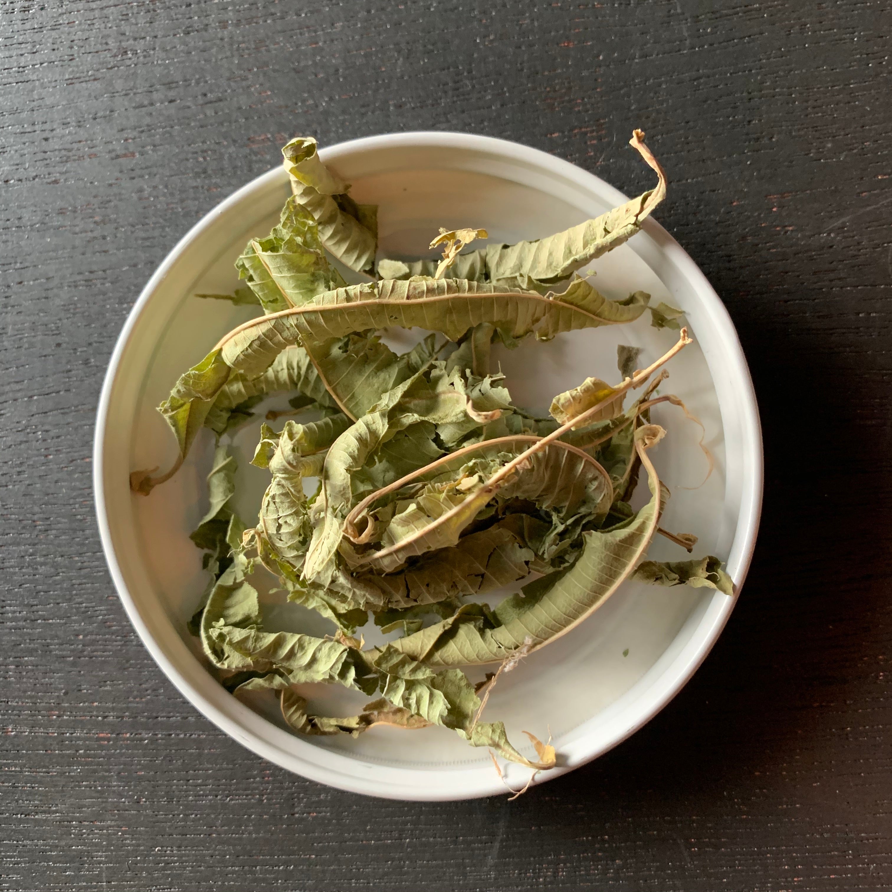 Lemon Verbena