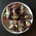 Red Clover