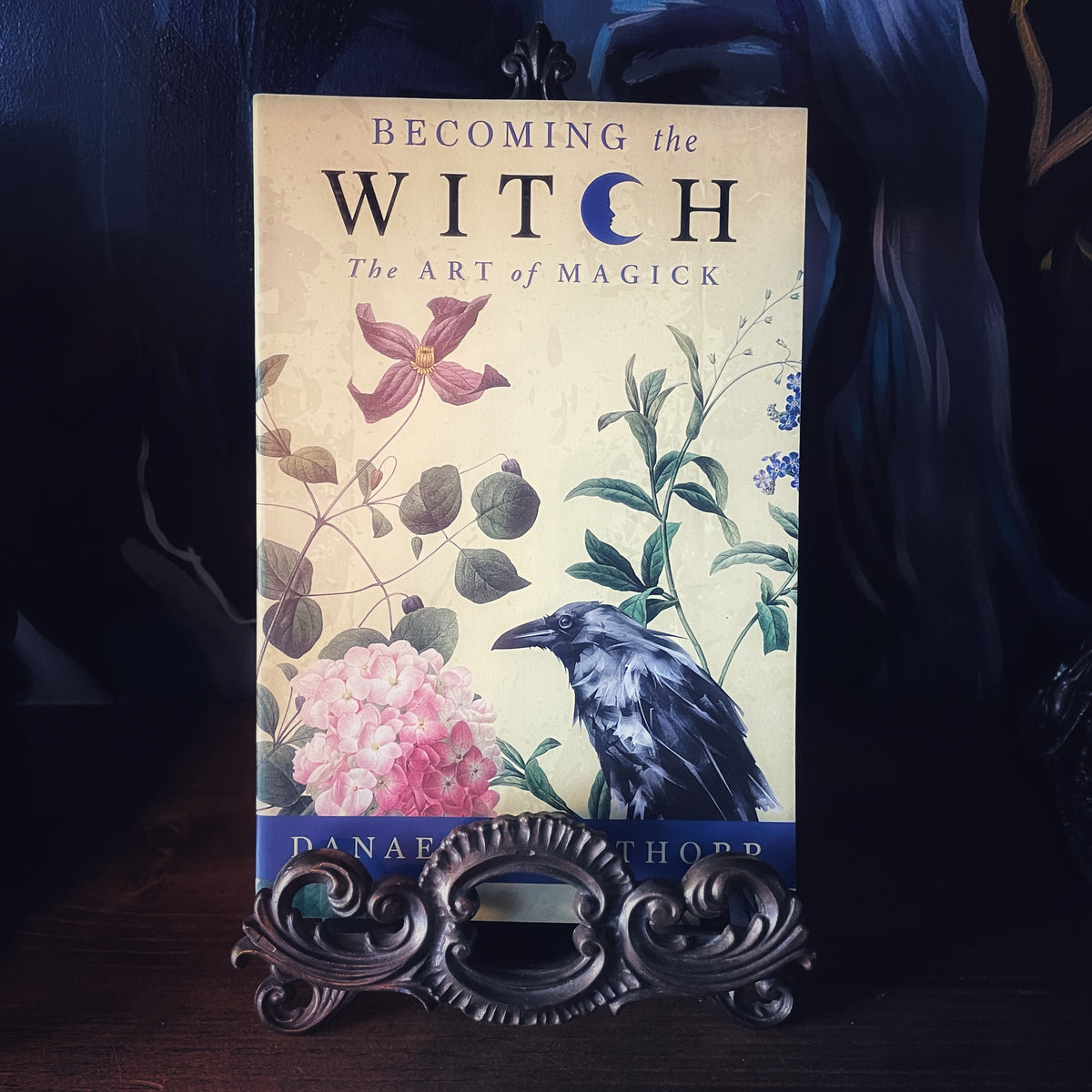 Becoming the Witch by Danae Thorp