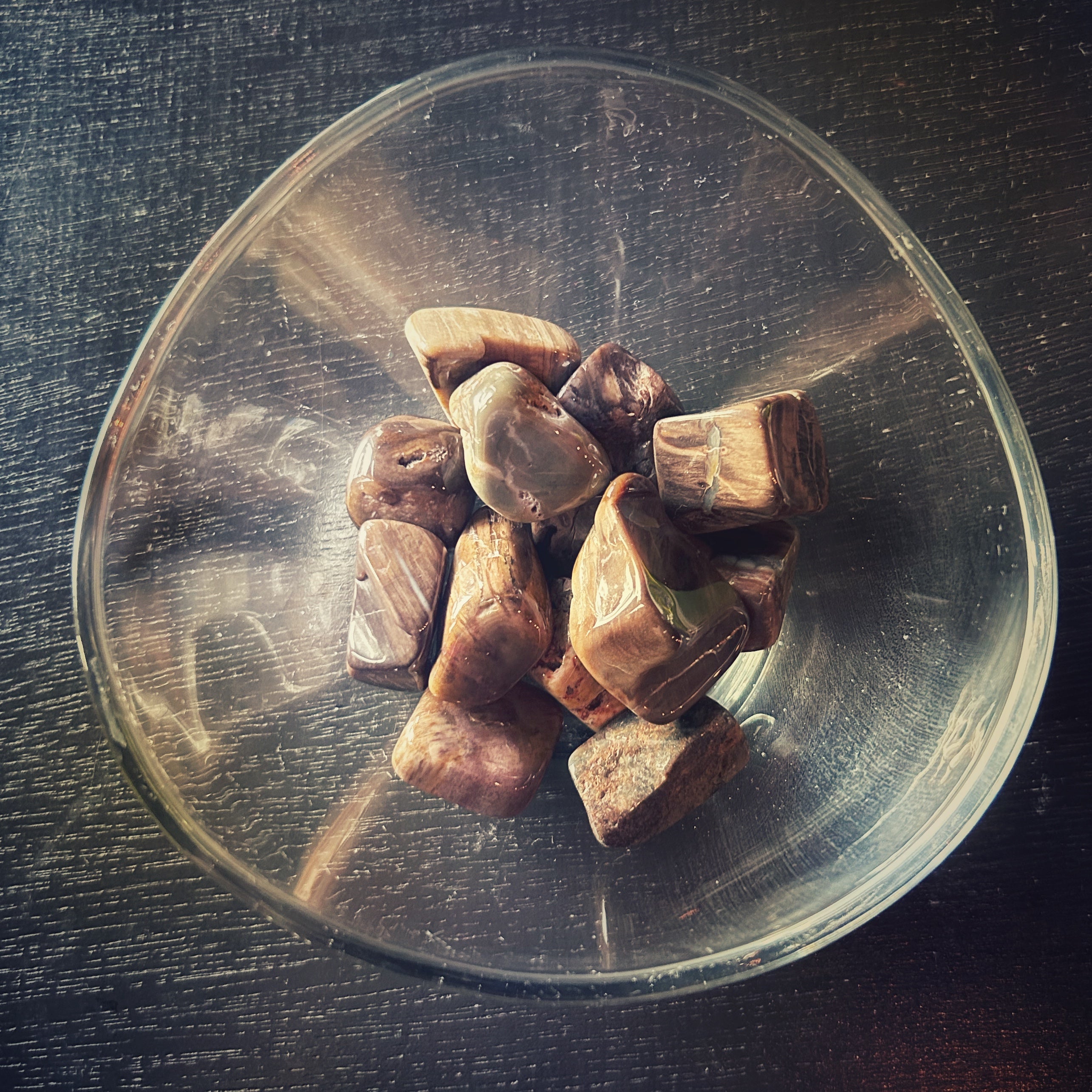 Petrified Wood Tumbled