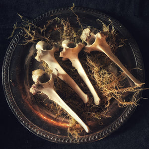 Open image in slideshow, Deer Bones - Gypsy Witch
