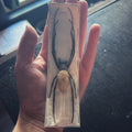 Insect Specimens