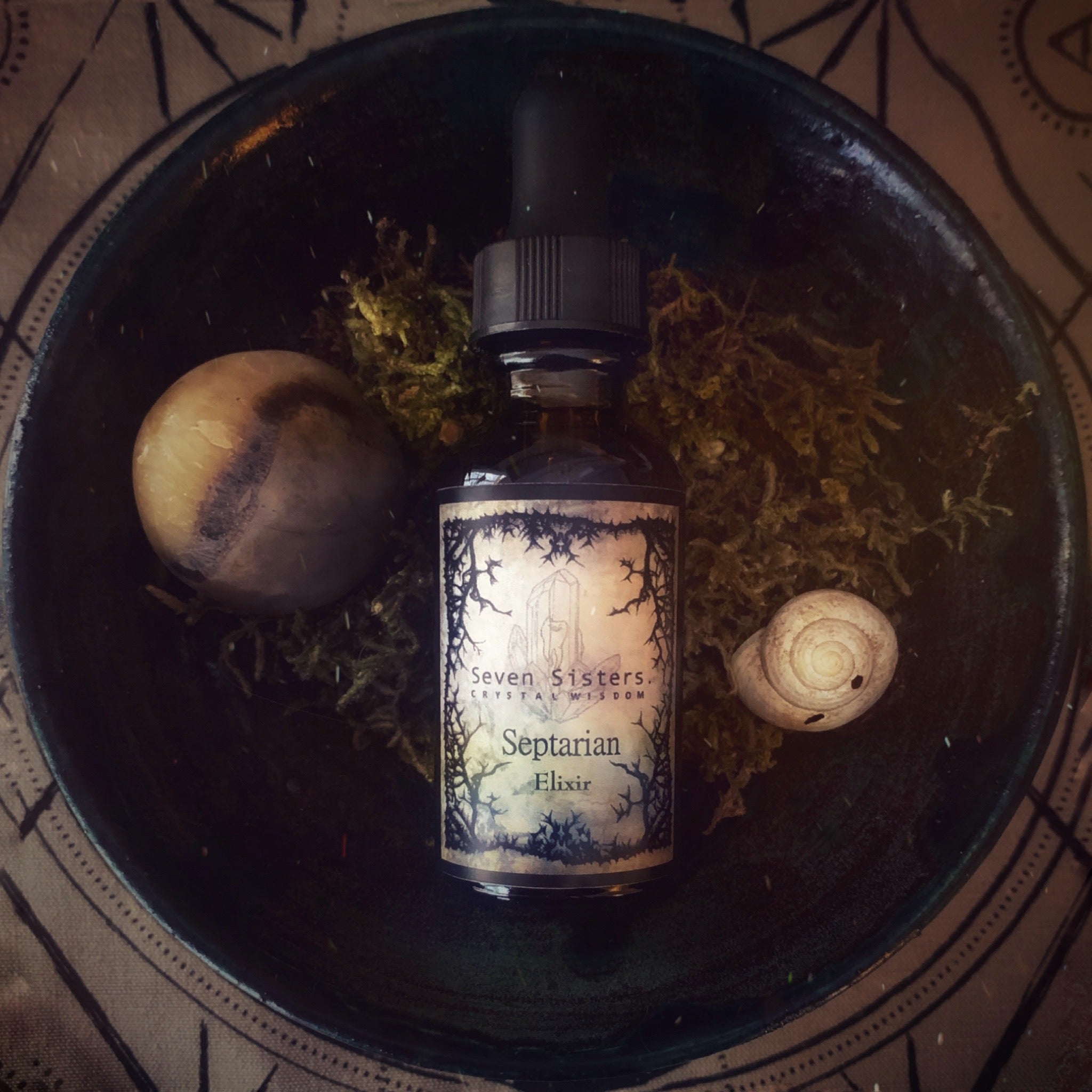 Septarian Crystal Wisdom Elixir